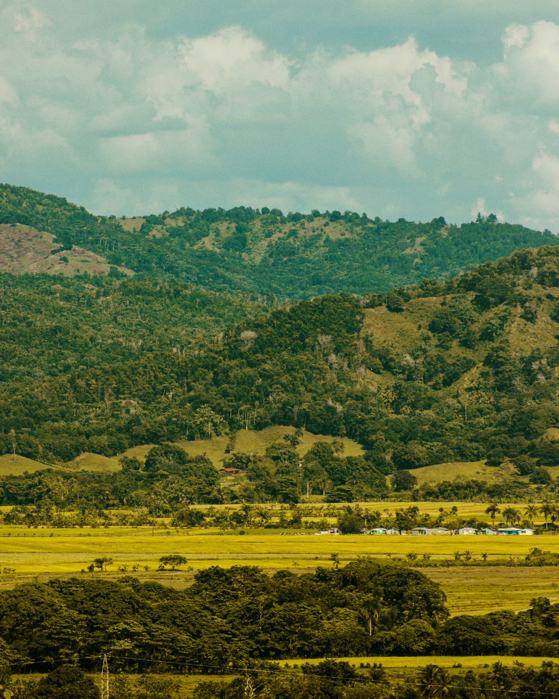 Valle de Bonao con lomas verdes (imagen ilustrativa)