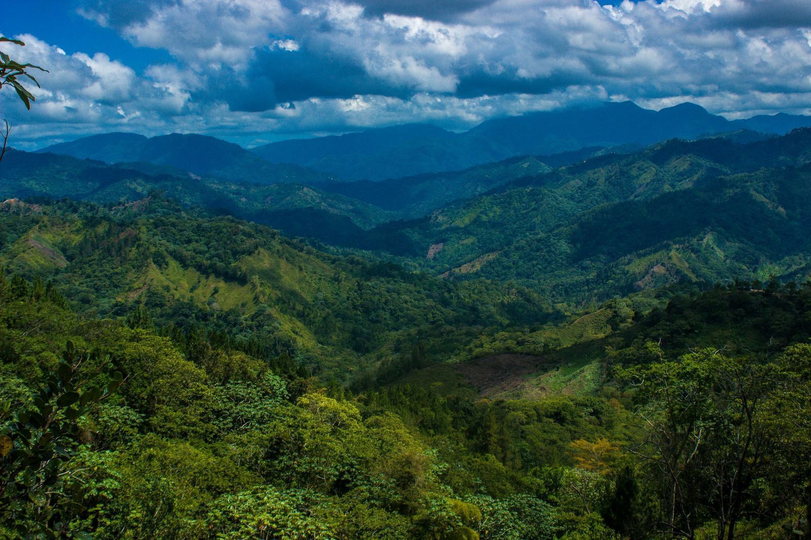 Lomas verdes de la cordillera dominicana