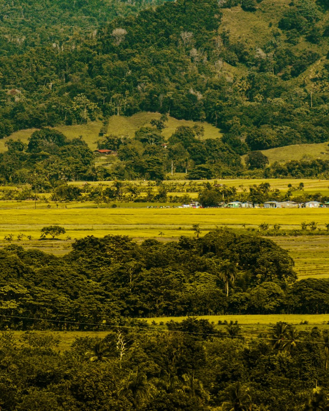 Campos y lomas del valle de Bonao (imagen ilustrativa)